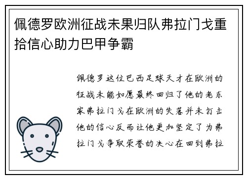 佩德罗欧洲征战未果归队弗拉门戈重拾信心助力巴甲争霸 佩德罗欧洲征战未果归队弗拉门戈重拾信心助力巴甲争霸